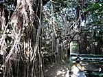 Ranthambore - Nationalpark